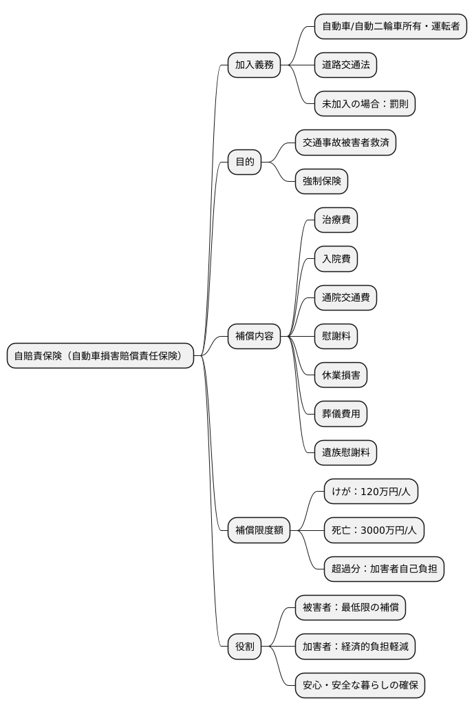 自賠責保険の役割